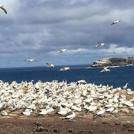 فيلا Cape Nelson Lighthouse بورتلاند المظهر الخارجي الصورة