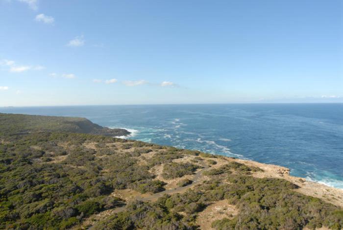 فيلا Cape Nelson Lighthouse بورتلاند المظهر الخارجي الصورة
